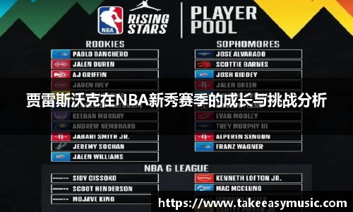 bsports官网入口